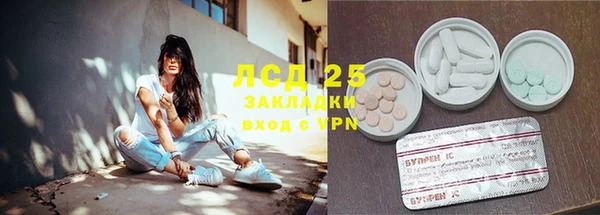 эйфоретик Баксан